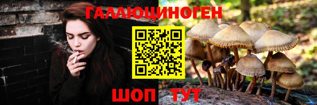 Псилоцибиновые грибы MAGIC MUSHROOMS Людиново